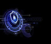 Comprehensive Safety Analysis