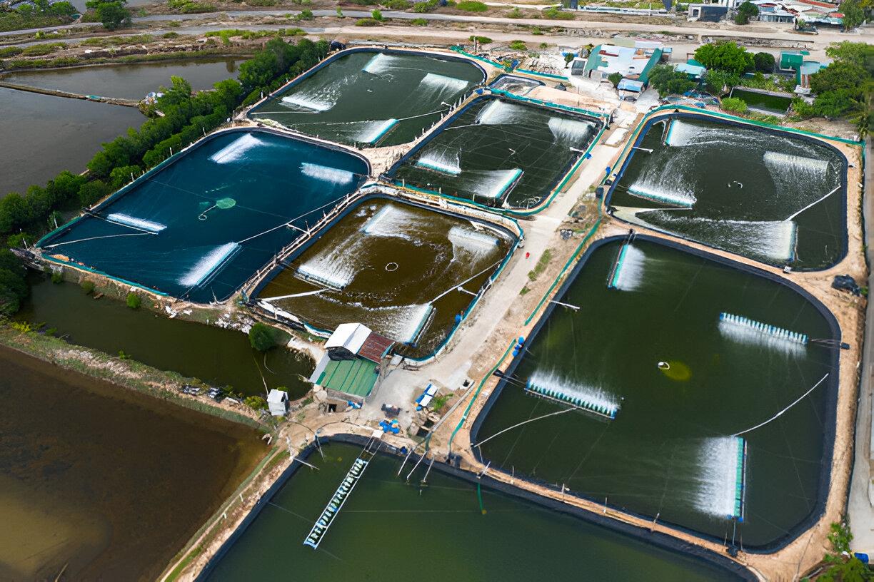 APY Analysis For Shrimp Farming
