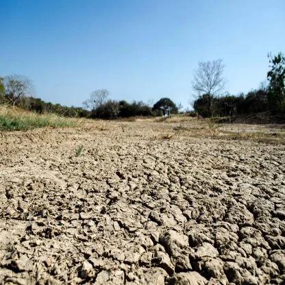 El Nino Prediction